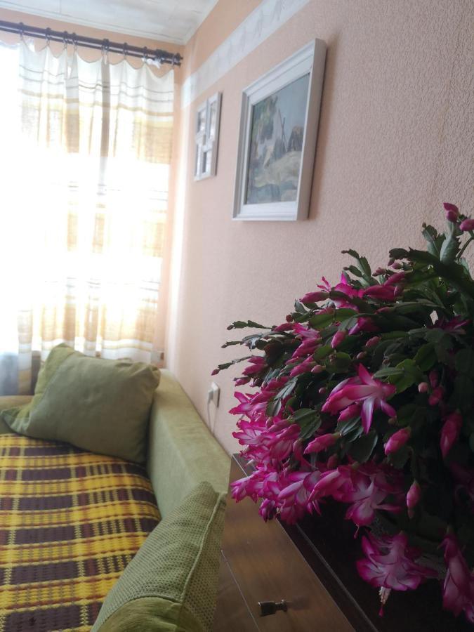 Dvinumajas Vintage B&B Balvi Zewnętrze zdjęcie