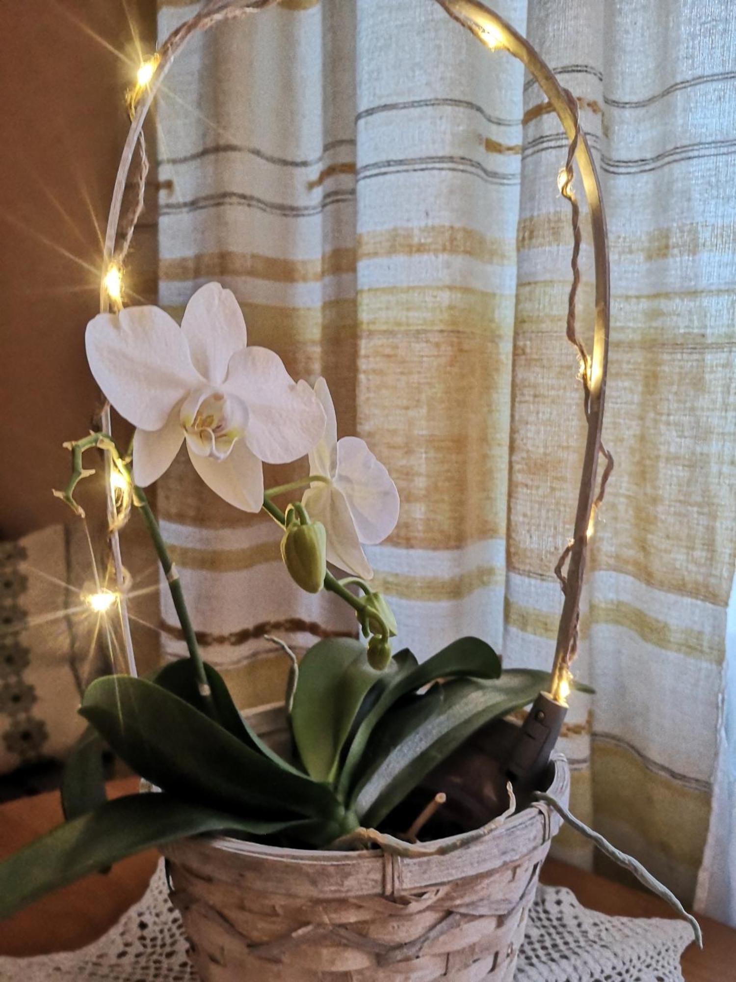 Dvinumajas Vintage B&B Balvi Zewnętrze zdjęcie
