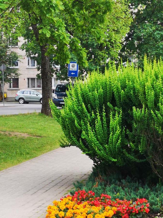 Dvinumajas Vintage B&B Balvi Zewnętrze zdjęcie