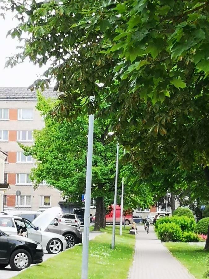 Dvinumajas Vintage B&B Balvi Zewnętrze zdjęcie