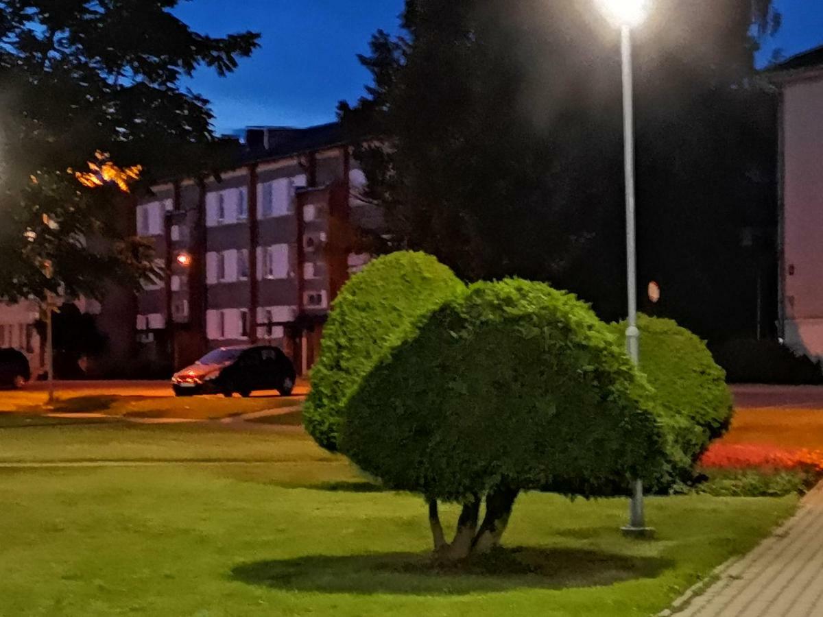 Dvinumajas Vintage B&B Balvi Zewnętrze zdjęcie